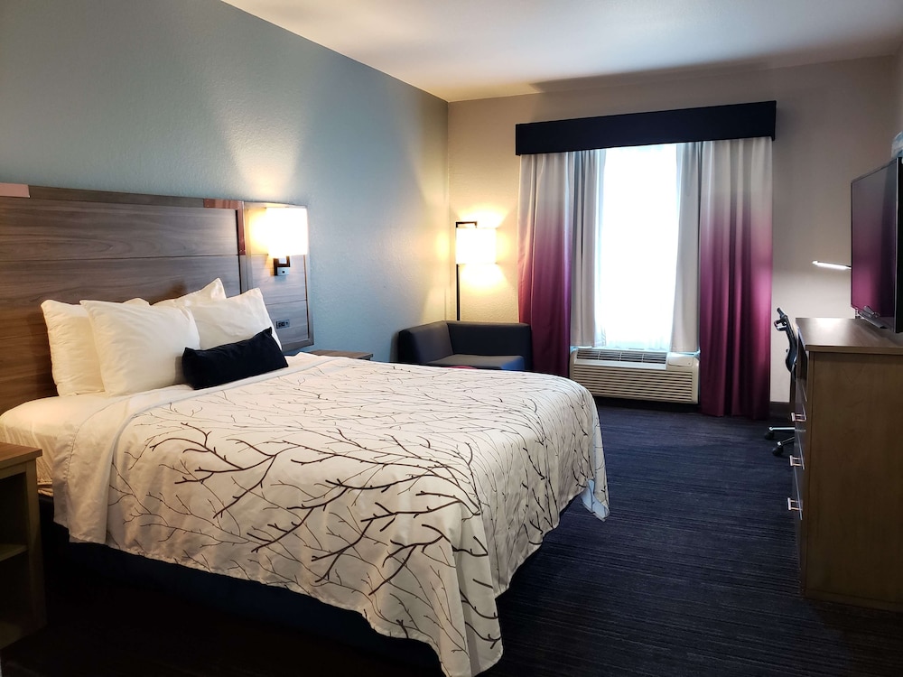 Standard Room, 1 King Bed, Accessible, Bathtub