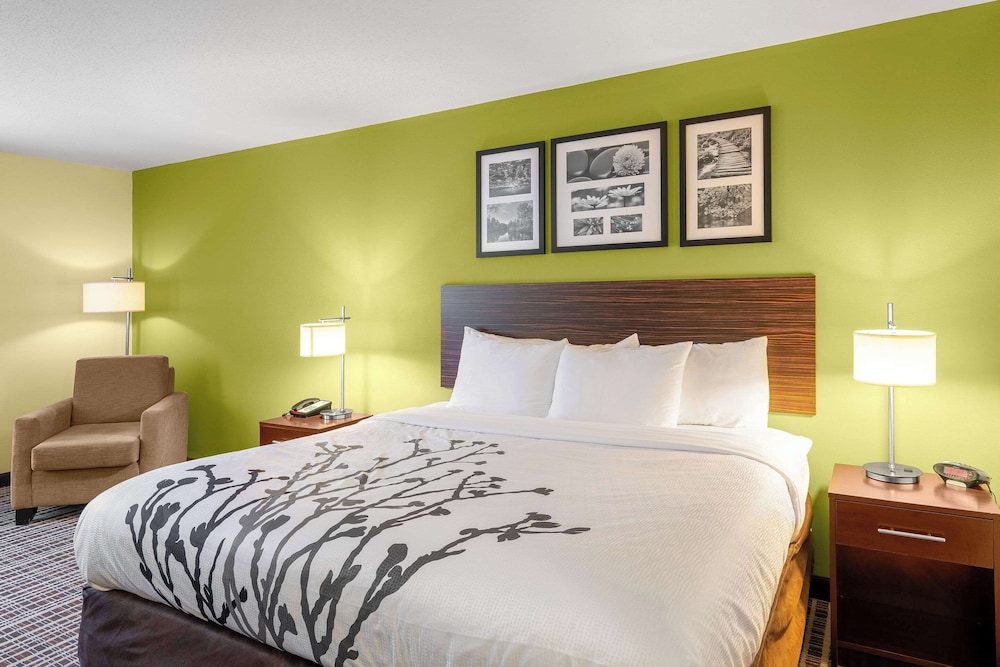 Standard Room, 1 King Bed, Non Smoking