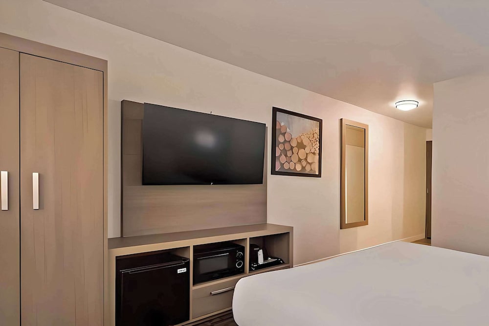 Room, 1 Queen Bed, Accessible, Non Smoking photo 1