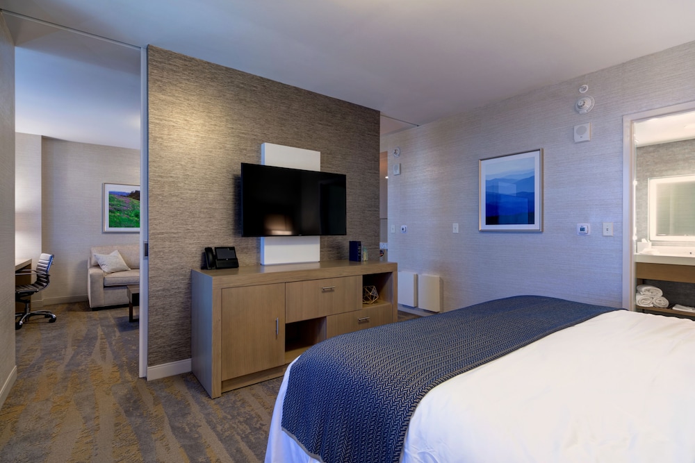 Superior Suite, 1 King Bed photo 1