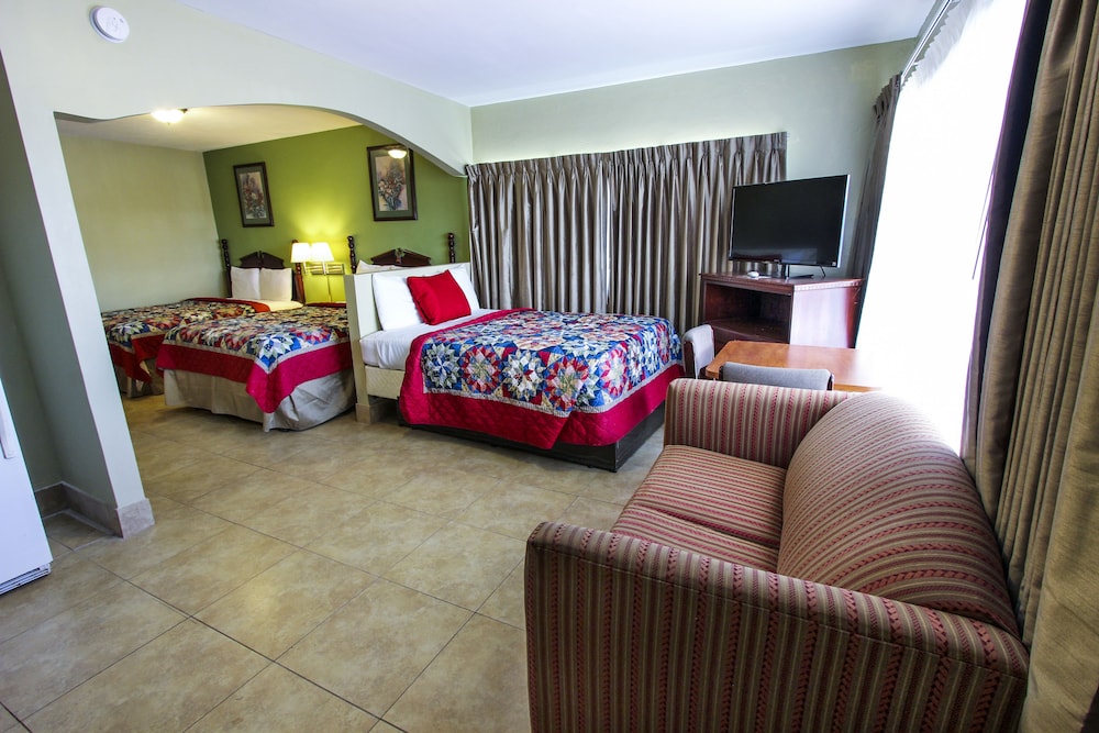 Junior Suite, Multiple Beds, Kitchen, Garden View photo 2