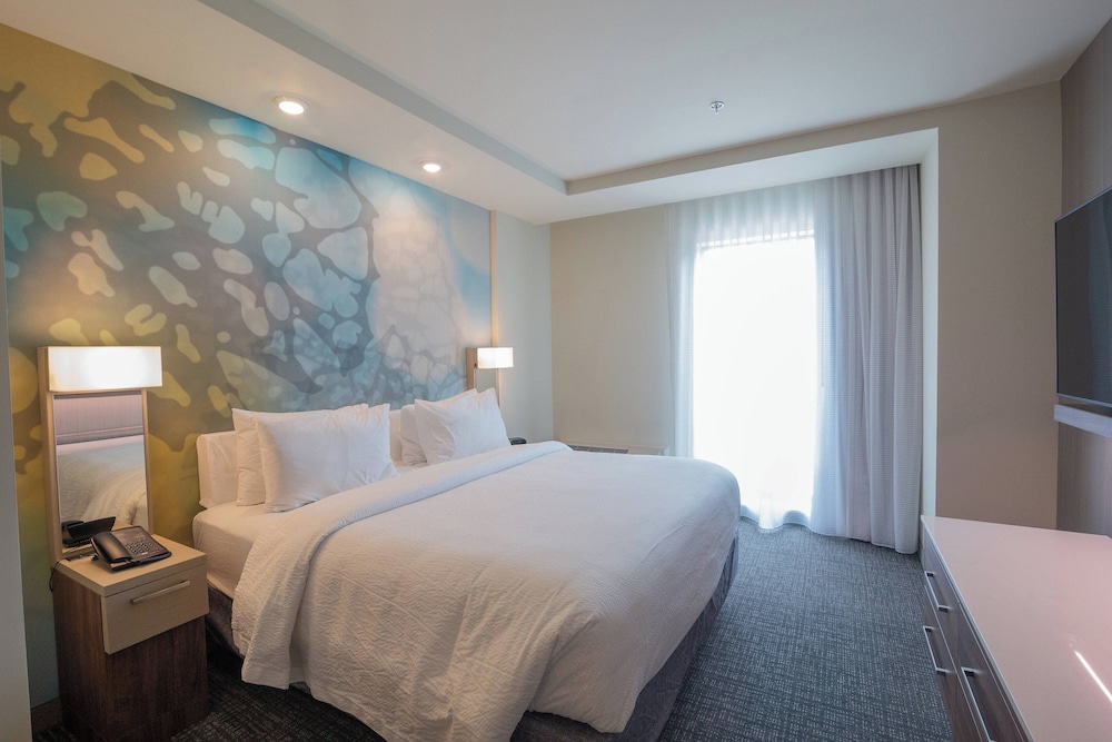 Room, 1 King Bed with Sofa bed (Mobility/Hearing Access, Roll-In Shwr) - Photo 2