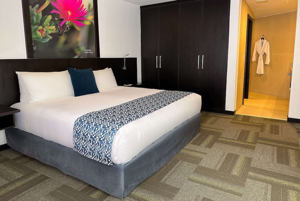 Executive Suite, 1 King Bed