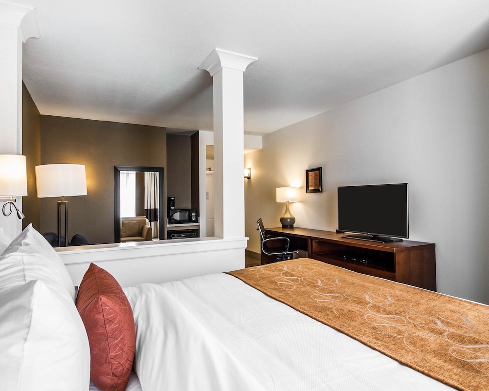 Suite, 1 King Bed with Sofa bed, Accessible, Non Smoking photo 1