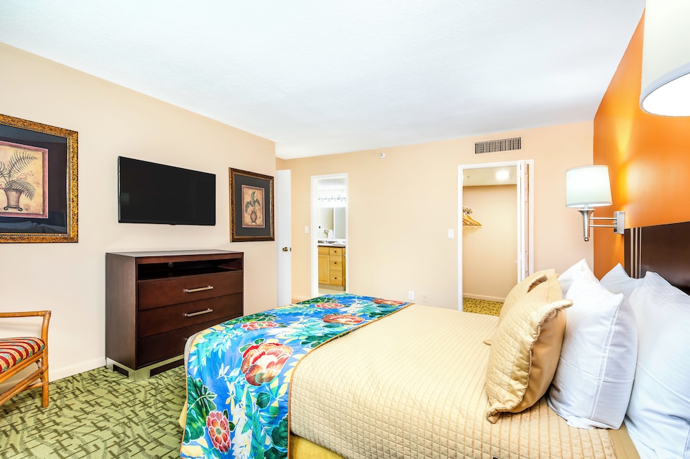 3 Bedroom Suite with Washer and Dryer - Photo 7