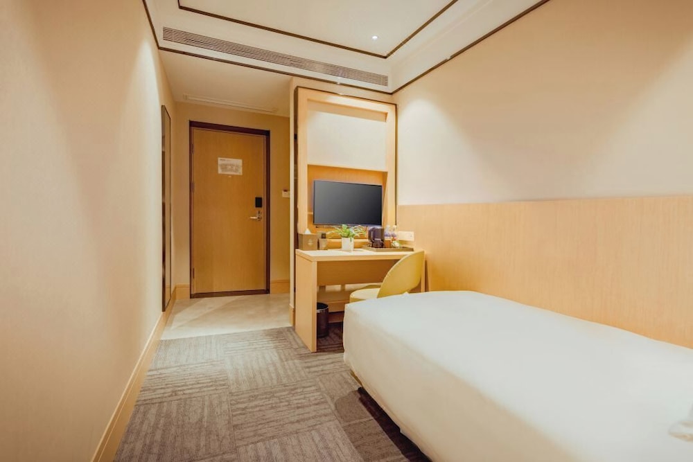 Comfort Single Room photo 1