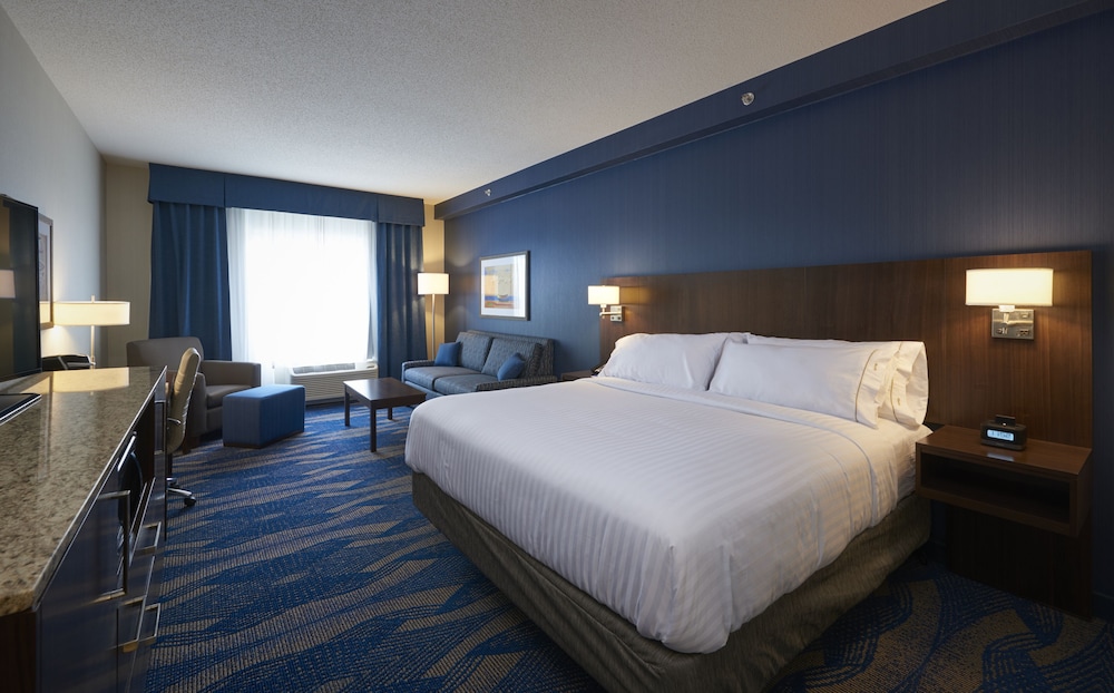 Suite, 1 King Bed with Sofa bed