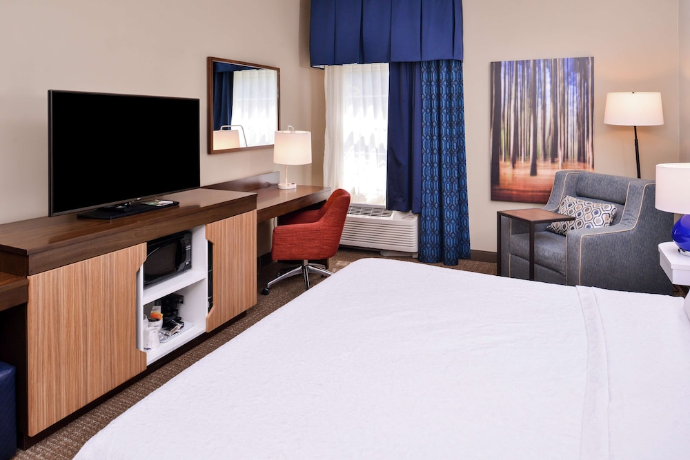 Room, 1 King Bed, Accessible, Bathtub photo 2