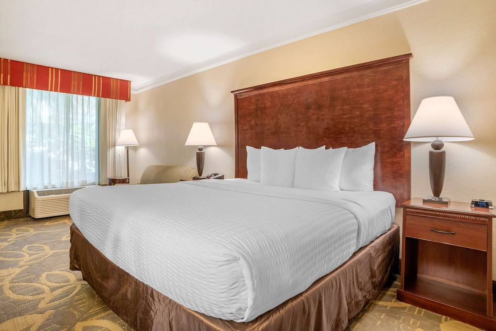 Room, 1 King Bed, Non Smoking (Pet Friendly) photo 1