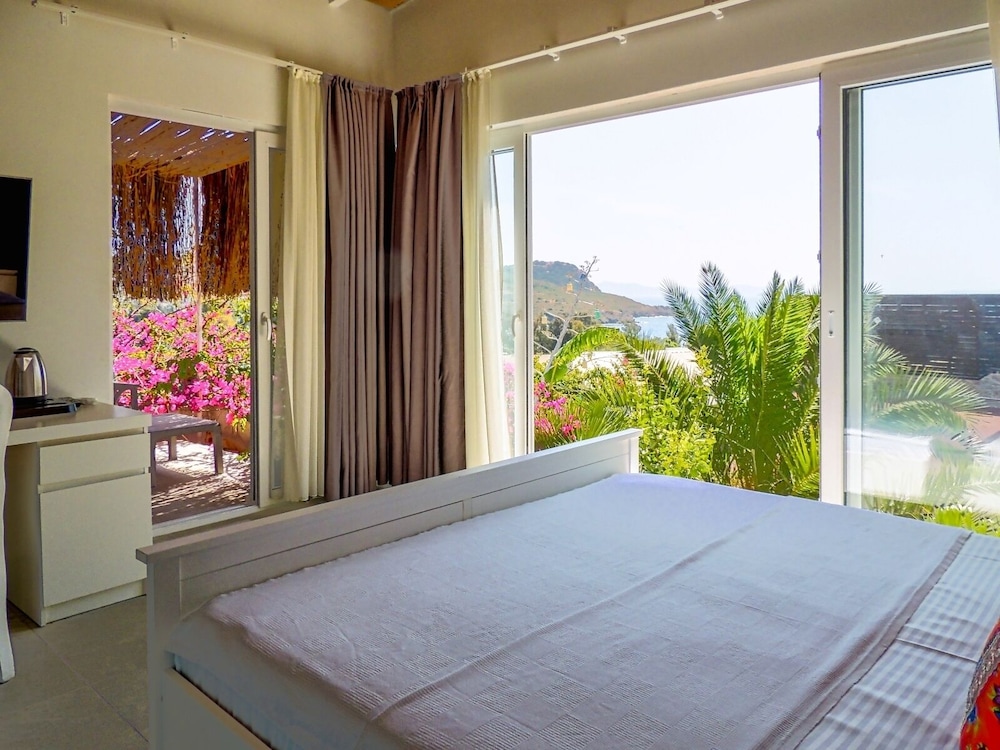 Executive Room - Photo 1