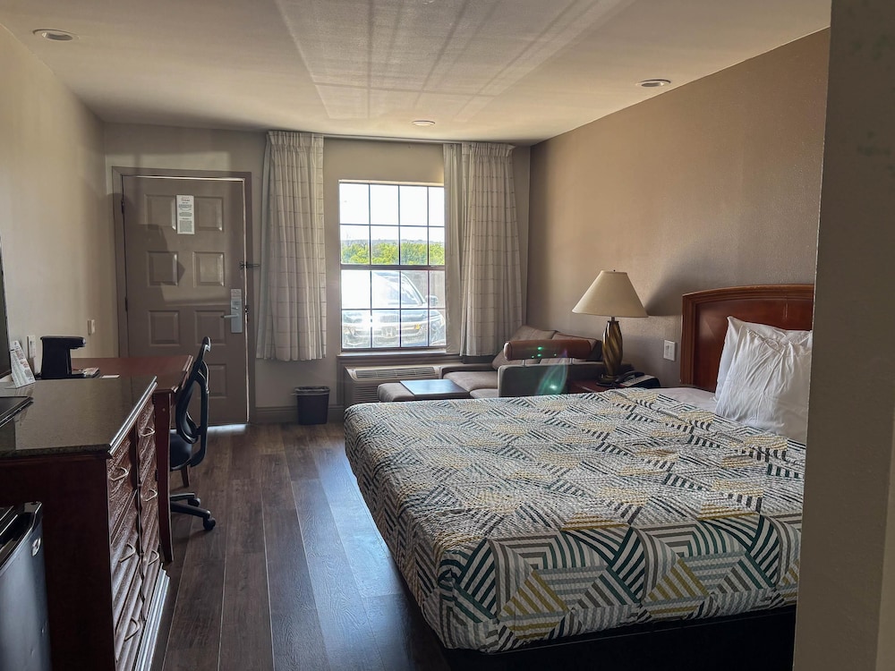 Standard Single Room, 1 King Bed, Non Smoking photo 1
