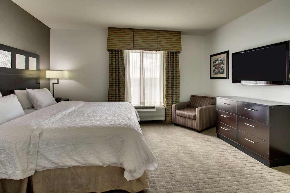 Suite, 1 Bedroom - Photo 2