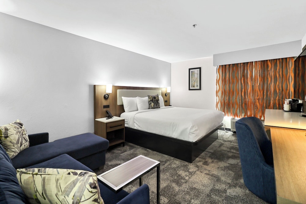 Deluxe Suite, 1 King Bed, Non Smoking (Deluxe Family Suite) - Photo 7