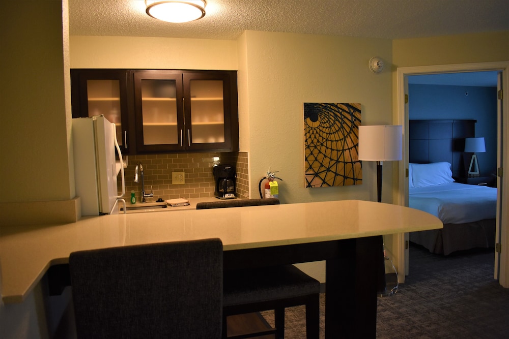 Suite, 1 Bedroom, Kitchen photo 2