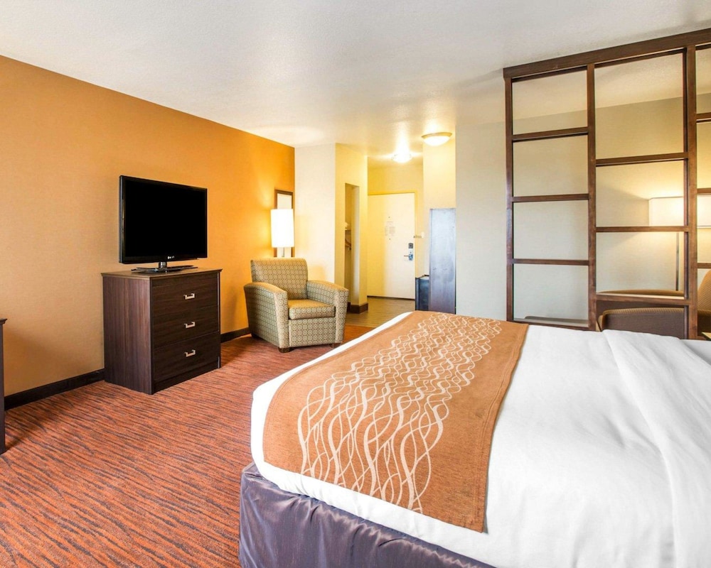 Suite, 1 King Bed with Sofa bed photo 2