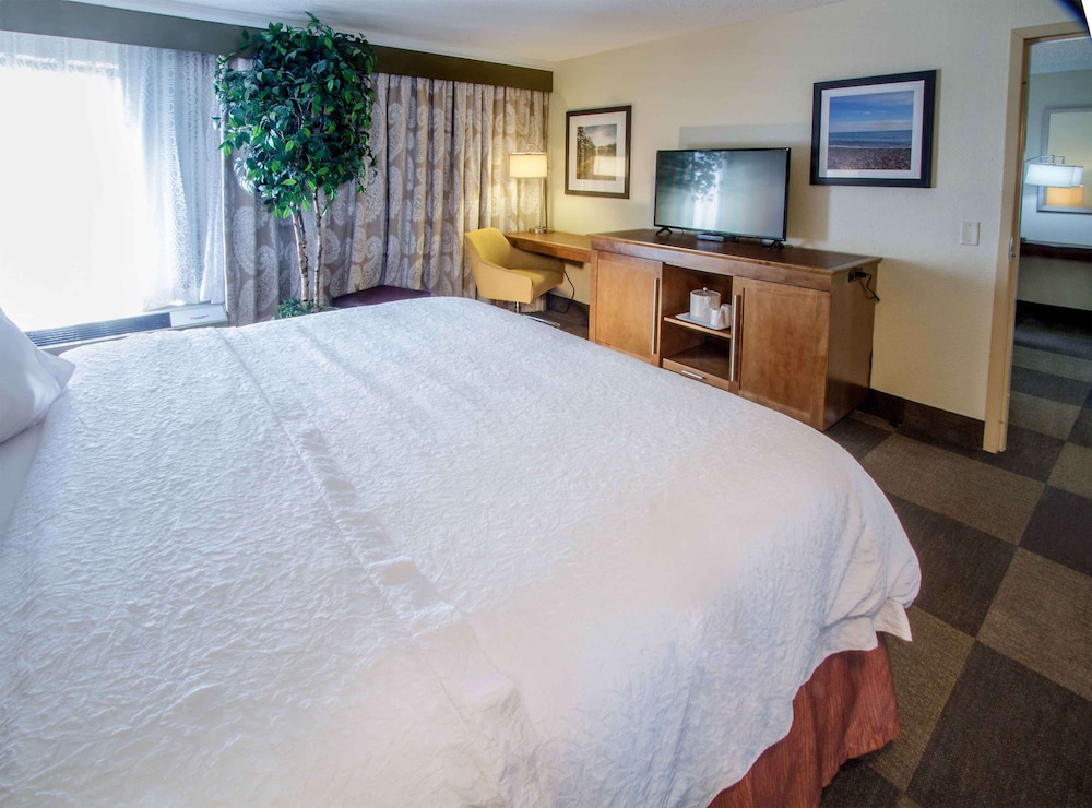 Deluxe Room, 1 King Bed, Non Smoking photo 2