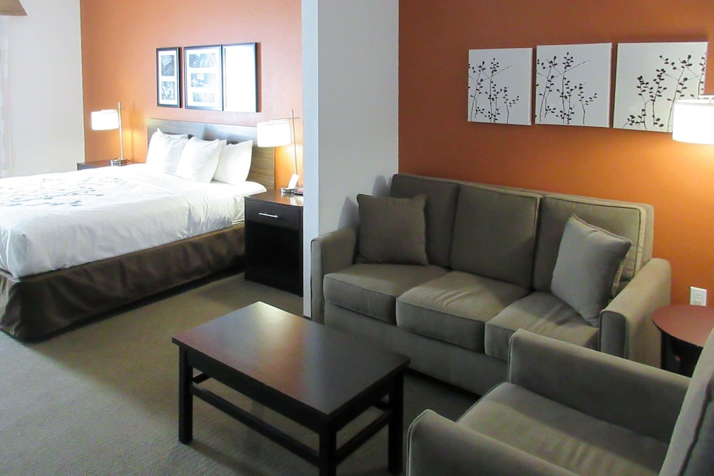 Suite, 1 King Bed with Sofa bed, Accessible, Non Smoking - Photo 6