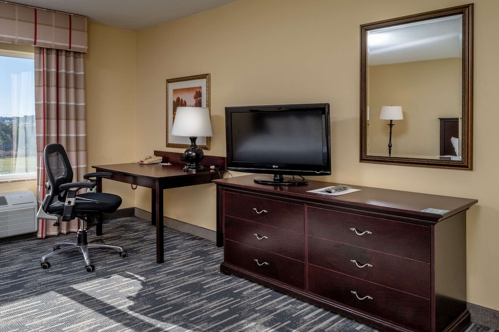 Suite, 1 Bedroom, Non Smoking - Photo 8