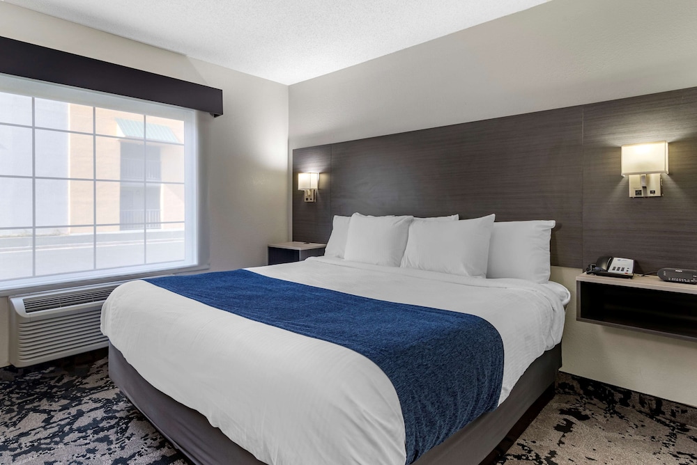 Standard Room, 1 Queen Bed, Accessible, Non Smoking (with Sofabed) - Photo 5