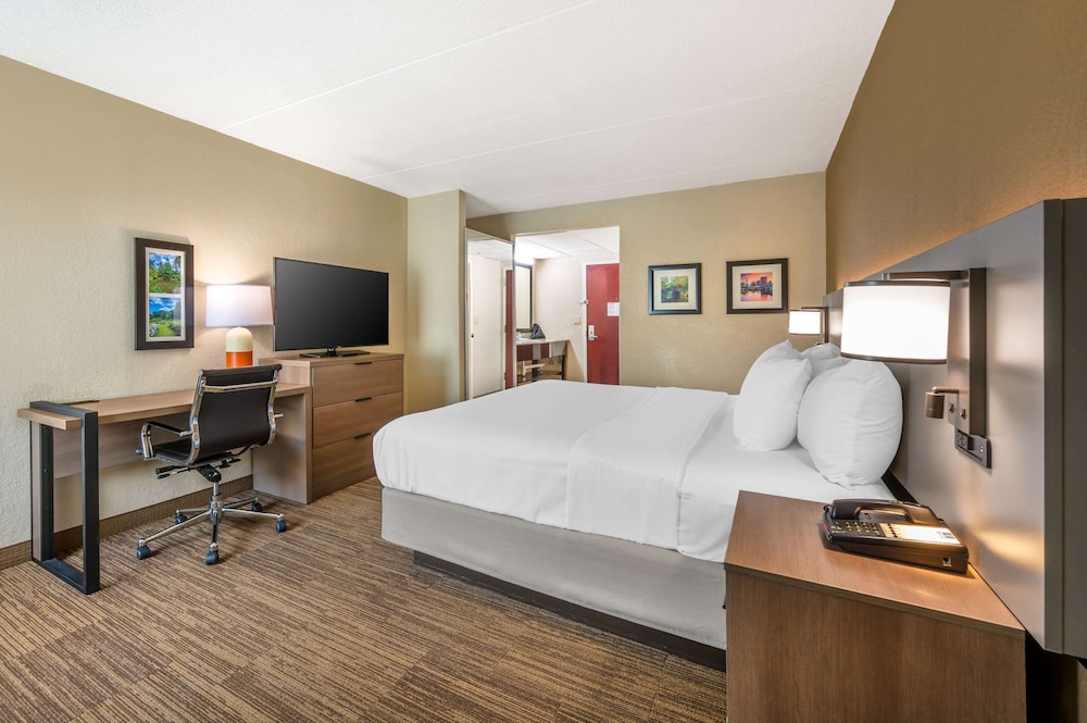 Suite, 1 King Bed with Sofa bed, Non Smoking - Photo 3