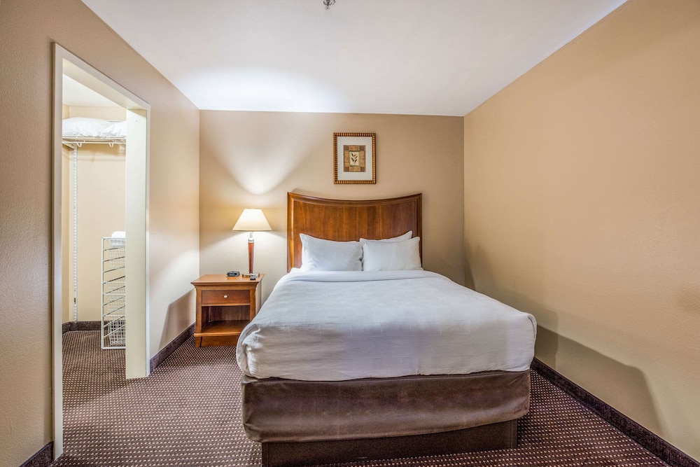 Suite, 1 Queen Bed with Sofa bed, Non Smoking (Efficiency) photo 3