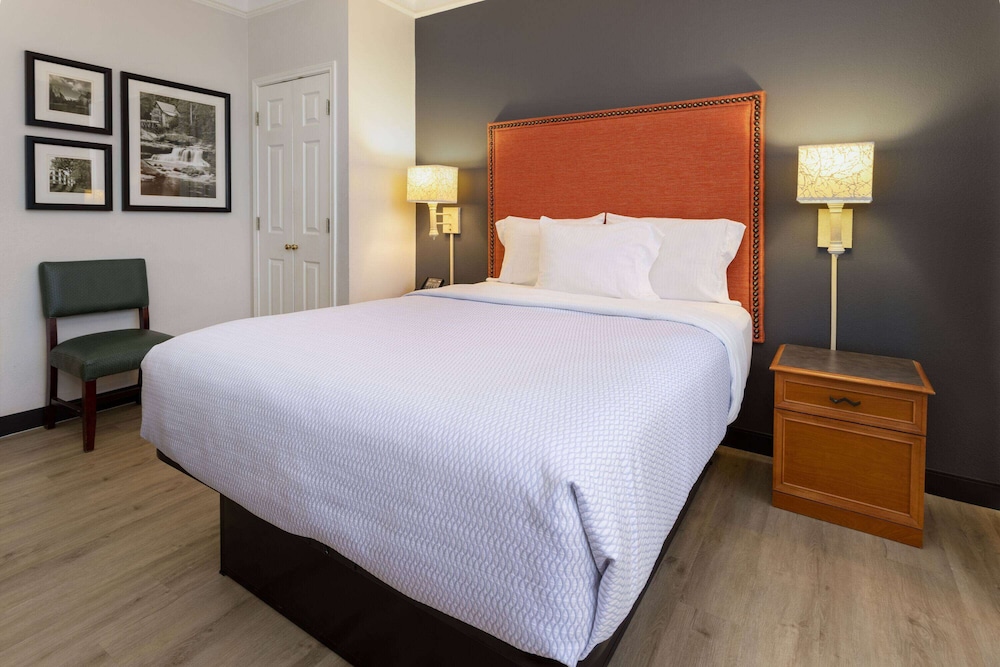Deluxe Room, 1 Queen Bed, Accessible, Non Smoking (Mobility,Roll-In Shower, Pet-Friendly) - Photo 4