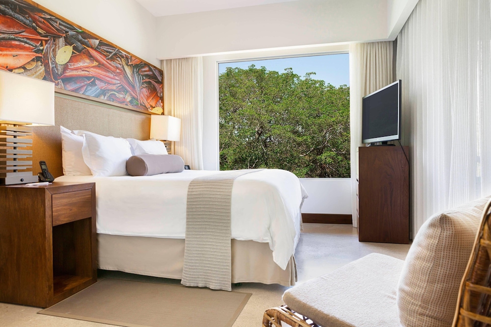 Superior Suite, 1 Bedroom