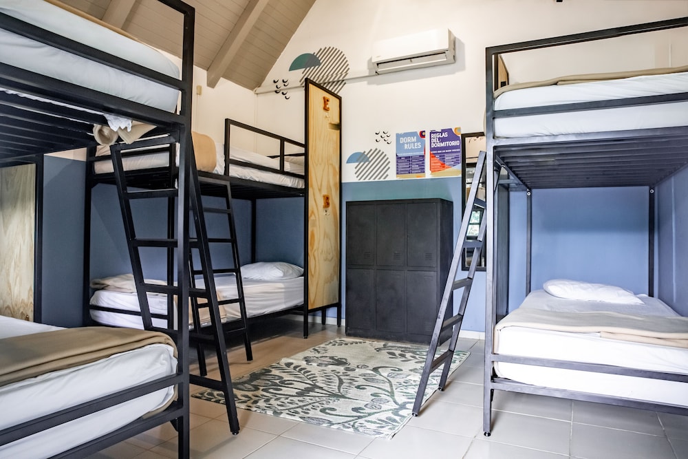 Bed in 6-Bed Dormitory Room photo 1