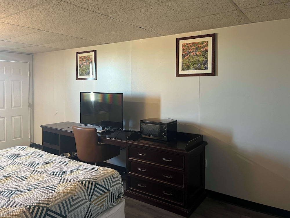 Standard Room, 1 King Bed, Non Smoking, Kitchen