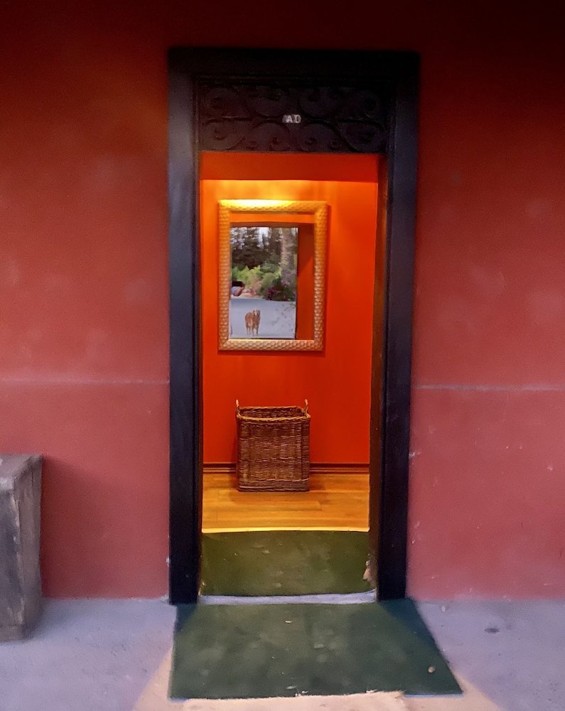 Suite AO photo 2