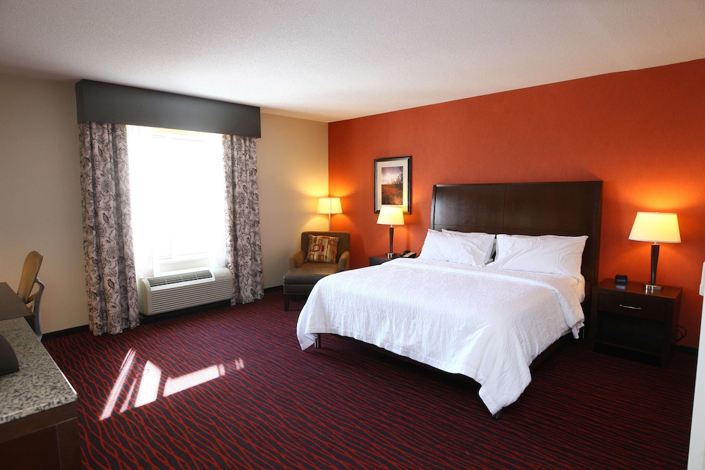Room, 1 King Bed, Accessible, Bathtub - Photo 1