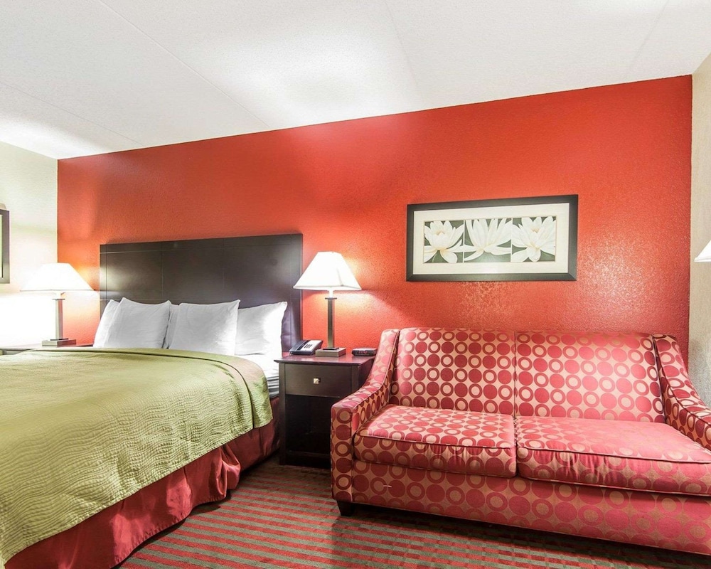 Standard Room, 1 King Bed with Sofa bed, Non Smoking photo 2