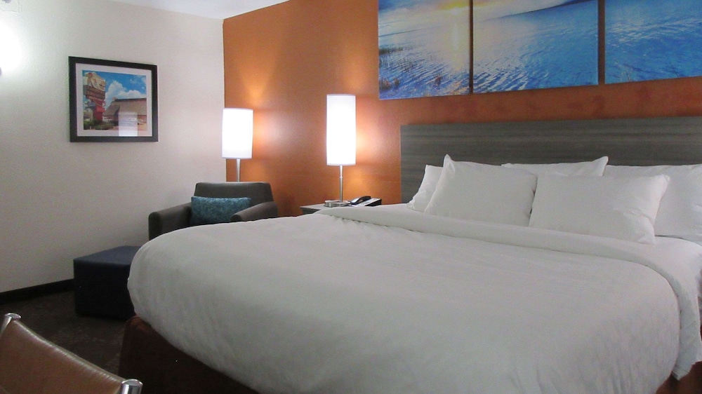 Suite, 1 King Bed, Non Smoking - Photo 6