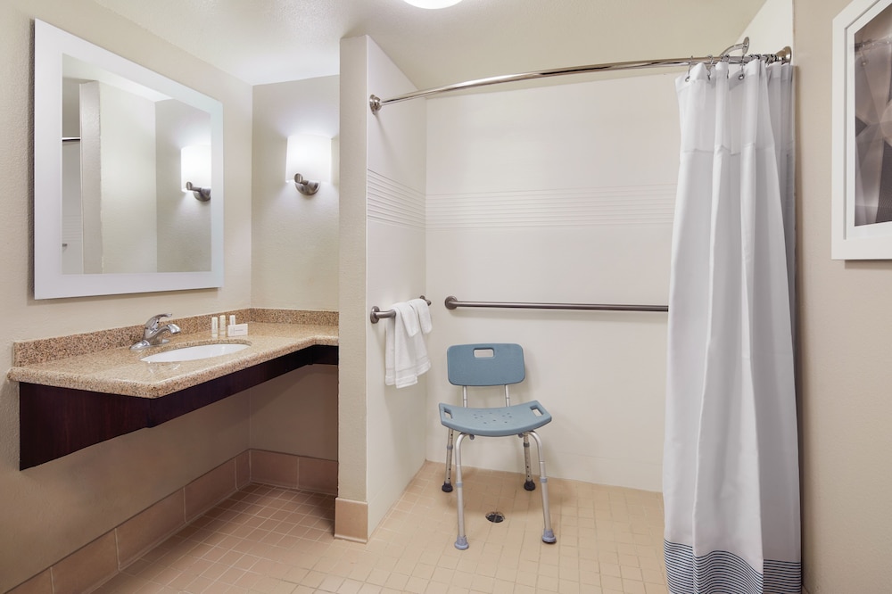 Executive Studio Suite, 1 King Bed with Sofa bed (Mobility/Hearing Access, Roll-In Shwr) - Photo 4