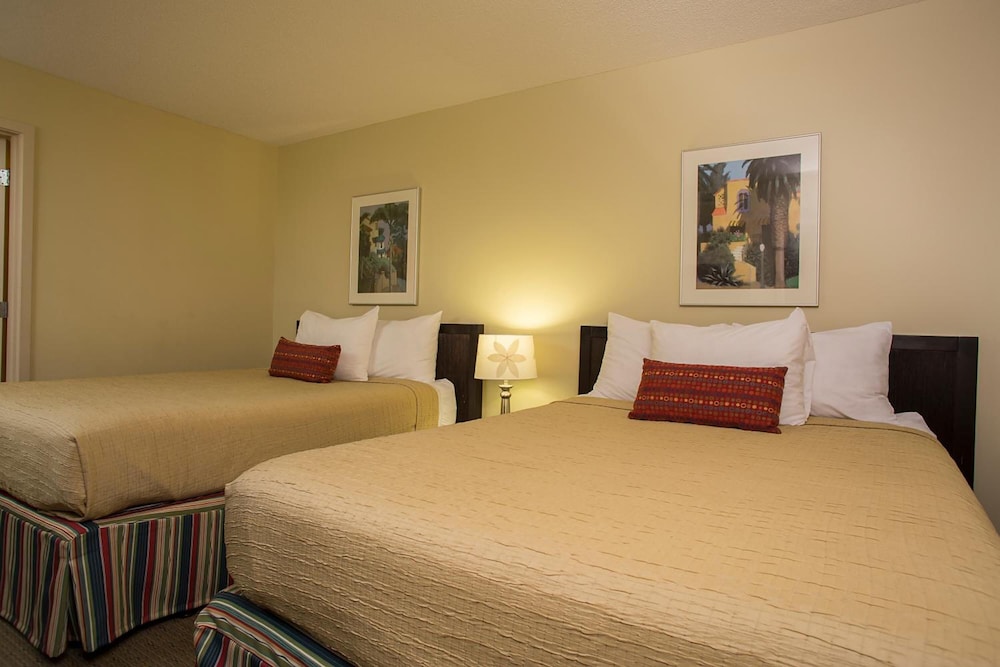 Suite, 2 Bedrooms photo 1