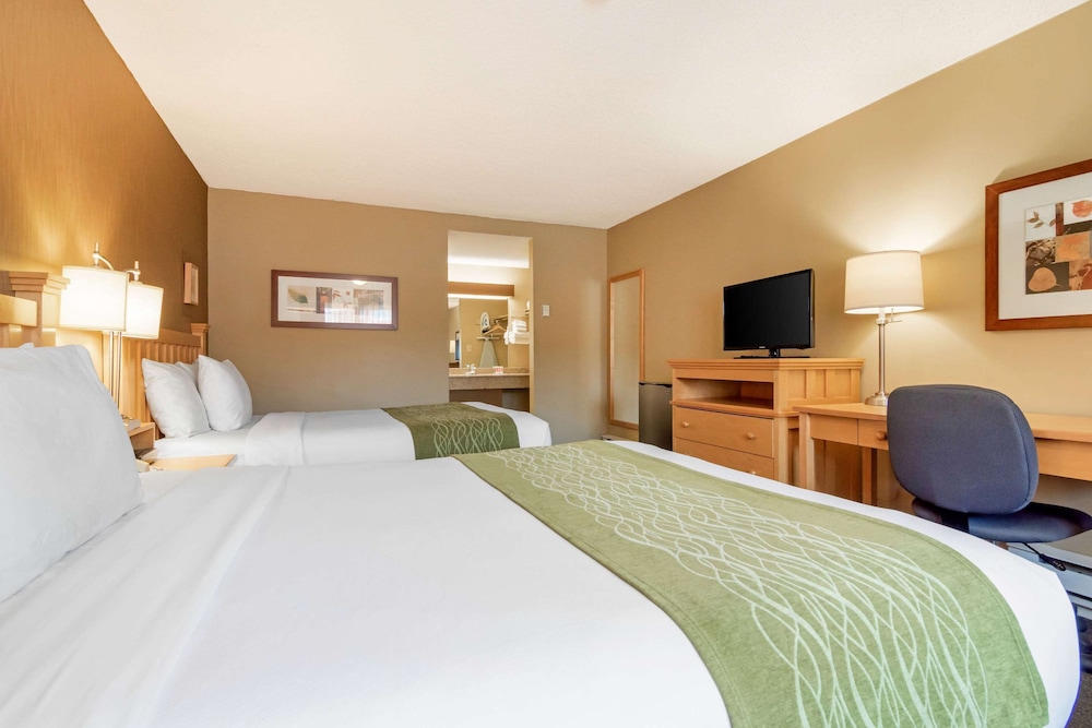 Deluxe Room, 2 Queen Beds, Non Smoking - Photo 1