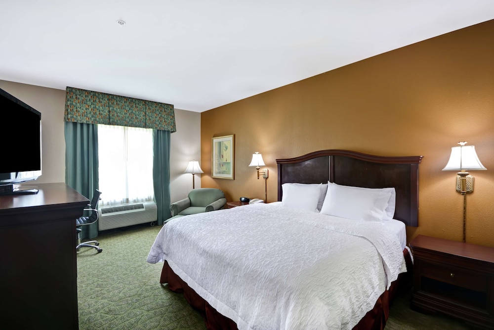Room, 1 King Bed, Accessible, Bathtub (Mobility & Hearing) - Photo 3