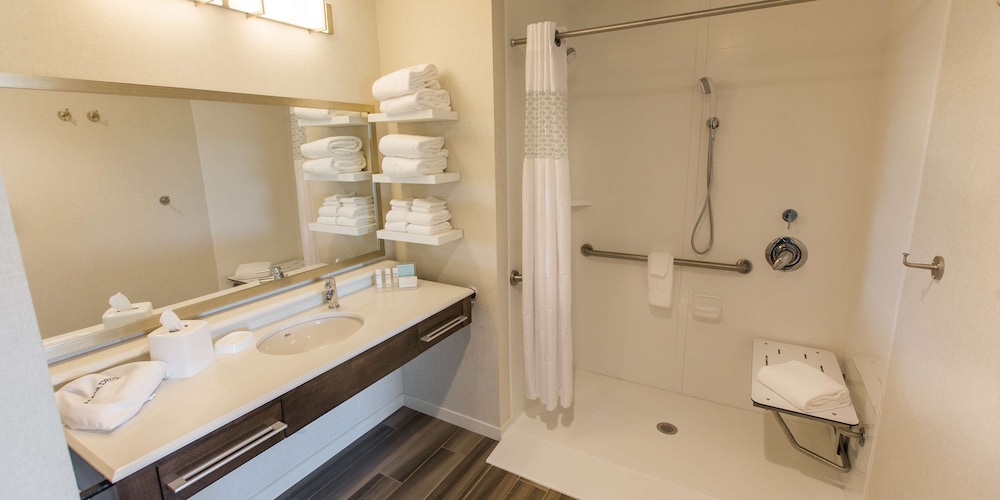 Studio, 1 King Bed, Accessible, Non Smoking (Roll-In Shower)