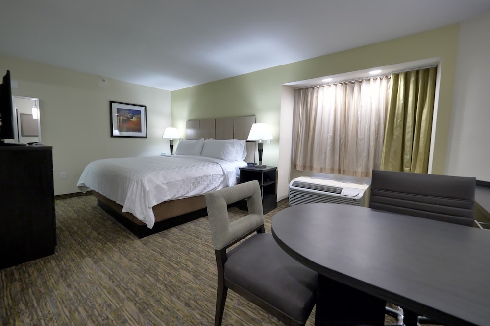 Suite, 1 Bedroom - Photo 2