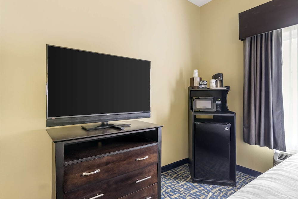 Standard Room, 1 King Bed, Accessible, Bathtub (with Sofabed) - Photo 3