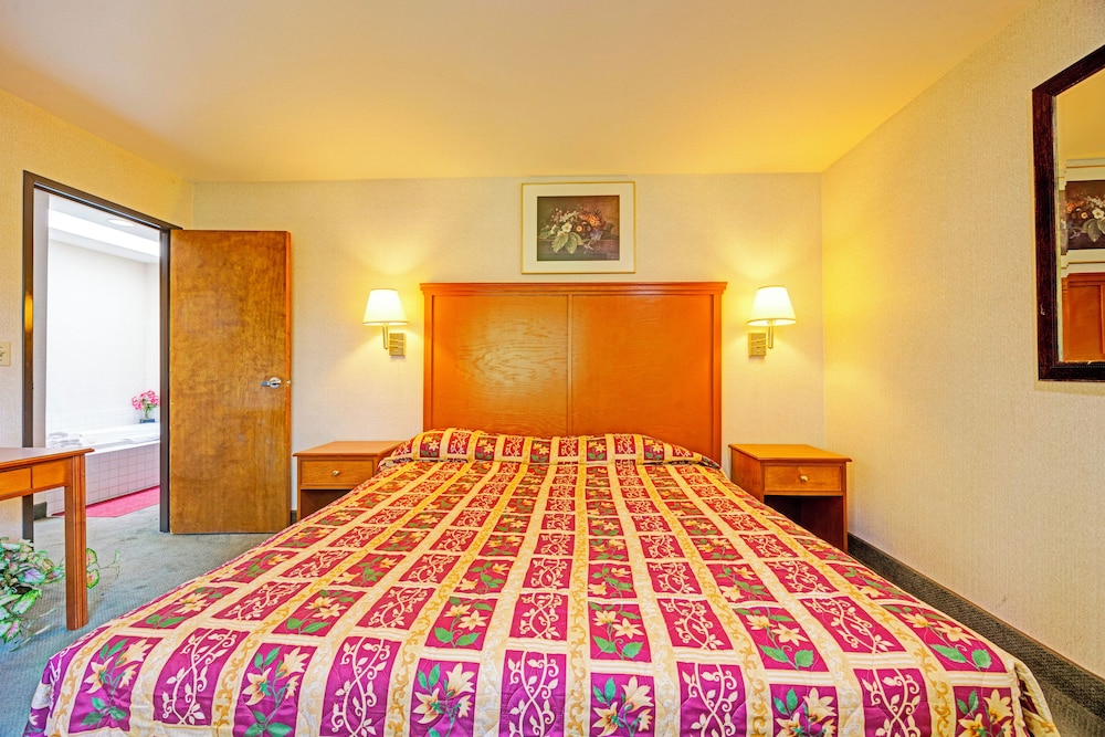 Room, 1 King Bed, Non Smoking, Jetted Tub