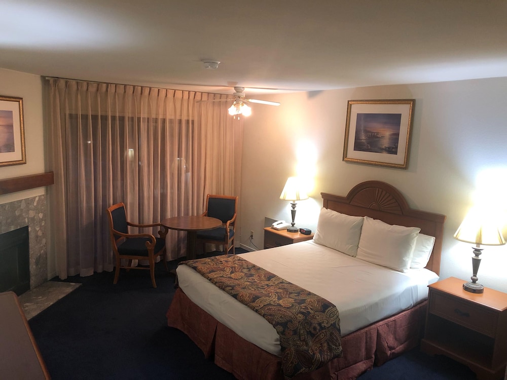 Suite, 1 Bedroom - Photo 4