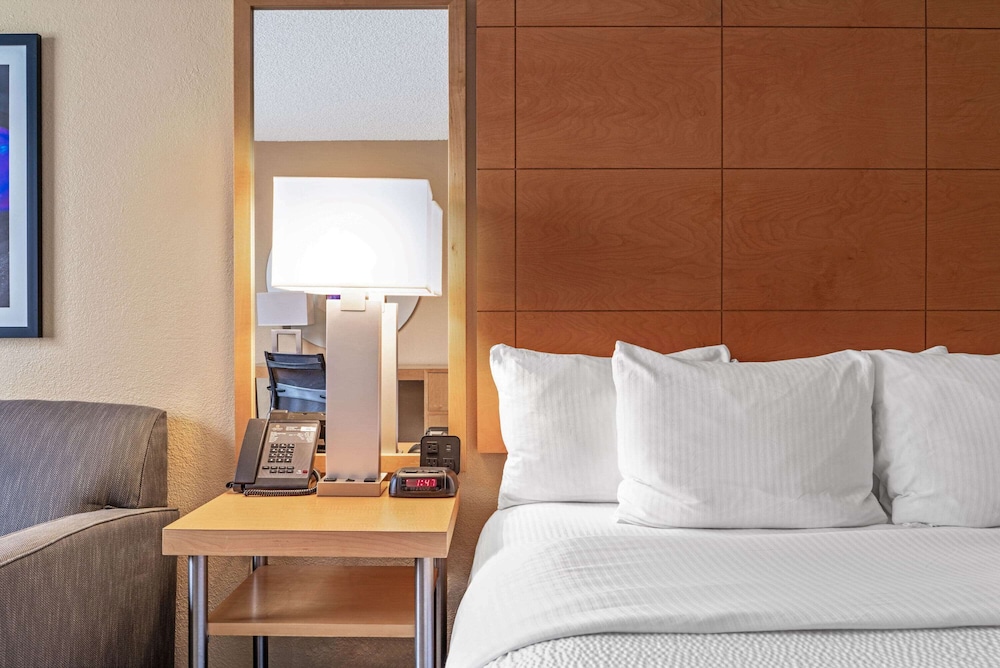 Deluxe Suite, 1 King Bed, Non Smoking - Photo 2