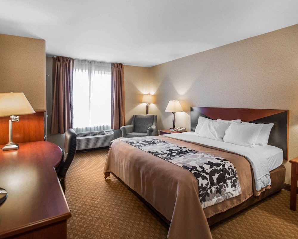 Standard Room, 1 King Bed, Non Smoking - Photo 2