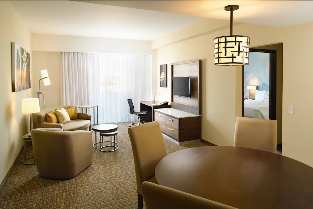 Suite, 1 King Bed with Sofa bed
