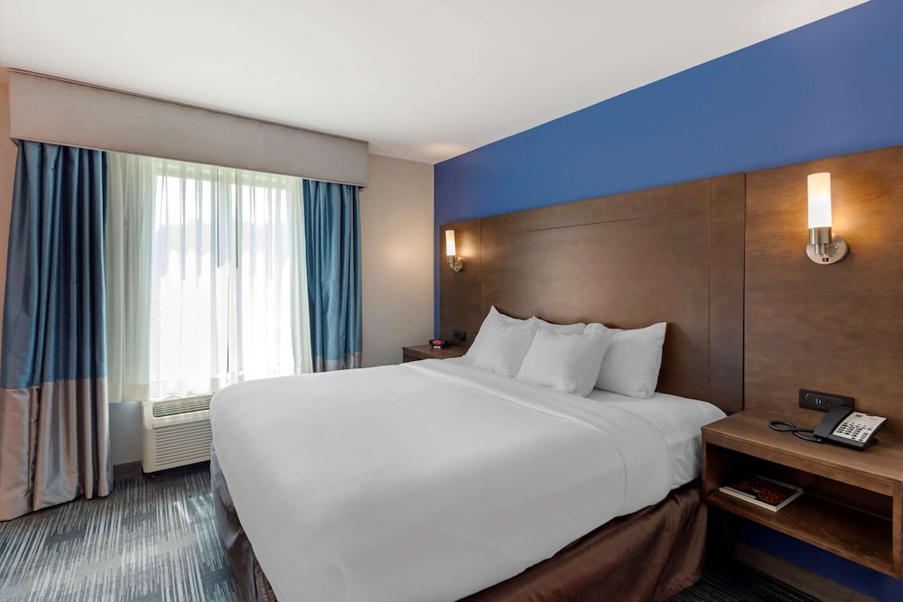 Suite, 1 King Bed with Sofa bed, Accessible, Non Smoking (2 Person Sofa Bed) photo 3