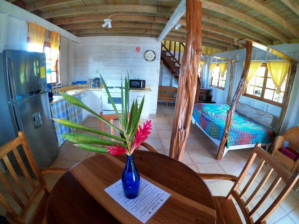 Basic Cabin, Multiple Beds 2 photo 3