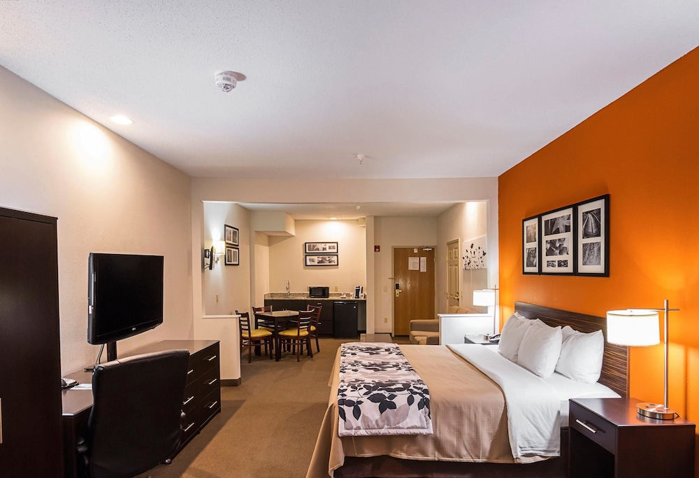 Suite, 1 King Bed with Sofa bed, Accessible, Non Smoking - Photo 4