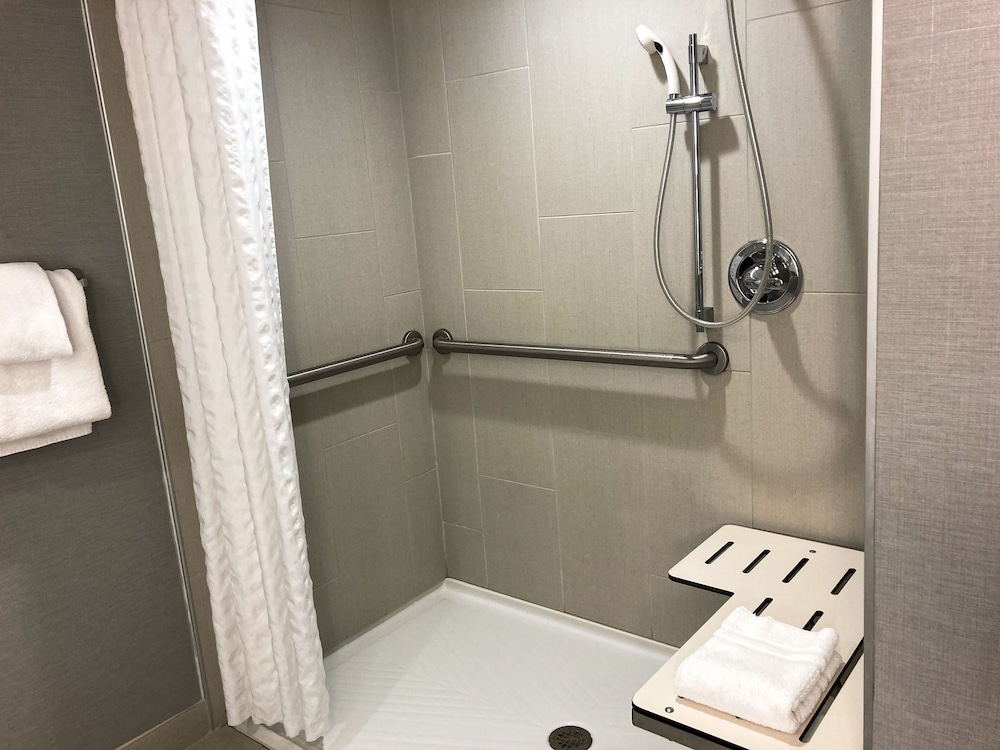 ADA Accessible, Standard Room, 1 King Bed, Roll-in Shower - Photo 1
