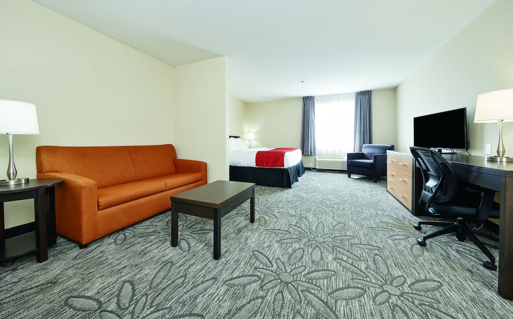 Suite, 1 King Bed, Non Smoking photo 1